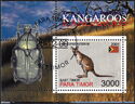 Kangaroos (Dorcopsis Veterum)