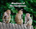 Monkeys of the Caribbean
