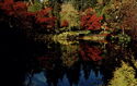 Victoria. Mirror Lake, The Butchart Gardens - Autumn
