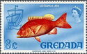 Red snapper (Lutjanus ata)