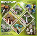Mushrooms