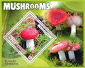 Mushrooms