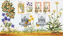 Alpine Wildflowers - The Eighty Cent Booklet