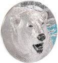 100 Dollars (Polar bear)