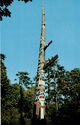 Victoria. The World's Tallest Totem Pole, Beacon Hill Park