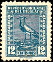 Southern Lapwing (Vanellus chilensis)