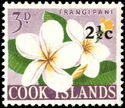 Frangipani surcharged