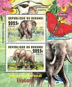 African Elephant (Loxodonta africana)