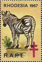 Rhodesian Scenes, Zebra