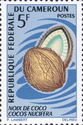 Coconut (Cocos nucifera)