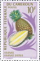 Pineapple (Ananas sativa)