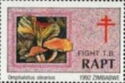 Mushrooms of Zimbabwe