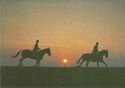 Horsemen at sunset