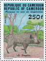 Common Warthog (Phacochoerus africanus)