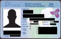 Ontario Driver's Licence