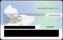 Ontario Driver's Licence