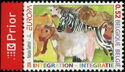 C.E.P.T.2006: Integration. Zebra between cows