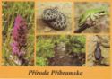Fauna, Flora and Natural Resources of Příbram district