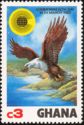 African Fish-Eagle (Haliaeetus vocifer)