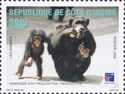 Chimpanzee (Pan troglodytes)
