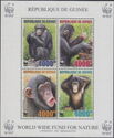 Chimpanzees
