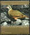 Rock Partridge (Alectoris graeca)