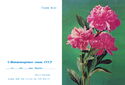 Three carnations. Series Zh-61