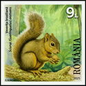Brazilian Squirrel (Sciurus [Guerlinguetus] aestuans)