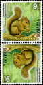 Brazilian Squirrel (Sciurus [Guerlinguetus] aestuans)