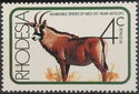 Roan Antelope (Hippotragus equinus)