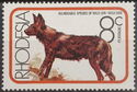 African Hunting Dog (Lycaon pictus)