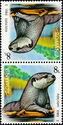 Otter (Lutra lutra)