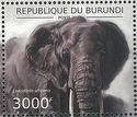 Loxodonta africana