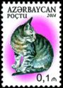 European Domestic Cat (Felis silvestris catus)