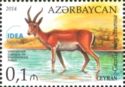 Persian Gazelle (Gazella subgutturosa)