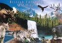 British Columbia Province. Wildlife