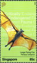 Large Flying Fox (Pteropus vampyrus)