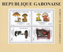 Mushrooms of Gabon