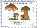 Boletus edulis & Boletus aereus