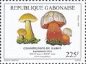 Tylopilus felleus & Boletus satanas