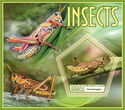 Insects - Grasshopper