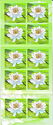 Water Lily (Nymphaea odorata) booklet pane