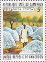 Cotton (North)