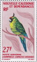 Ouvea Parakeet (Eunymphicus cornutus uveaensis)