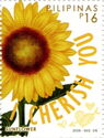 I Cherish You : Sunflower