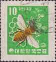 European Honey Bee (Apis mellifera), Honeycomb and Clover