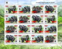 Western Lowland Gorilla (Gorilla gorilla gorilla) Red Ovpt.