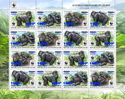 Western Lowland Gorilla (Gorilla gorilla gorilla) Blue Ovpt.