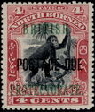 Bornean Orangutan Overprinted