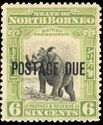 Sumatran Rhinoceros Overprinted